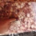 鱿鱼大碎肉鱿鱼粒适合快餐烧烤，八角粒串加工。缩水率低