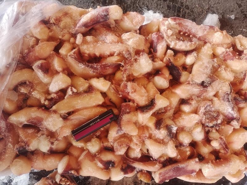 鱿鱼大碎肉鱿鱼粒适合快餐烧烤，八角粒串加工。缩水率低