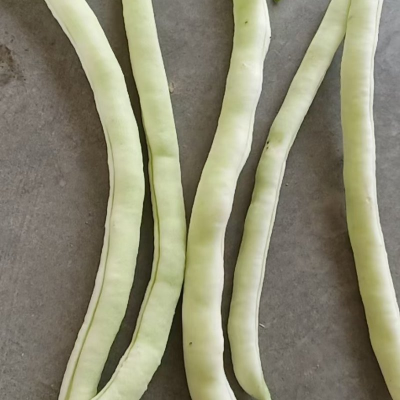 陕西汉中白不老四季豆大量有货