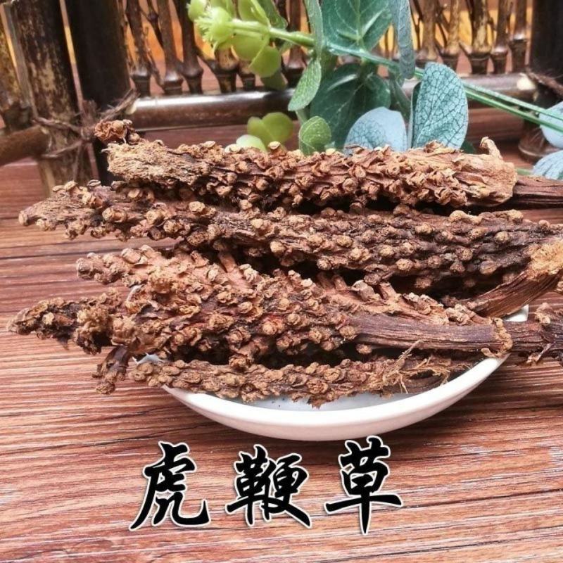 虎鞭草子孙草虎鞭草云南苗家中草药滋补野生中药材泡酒料