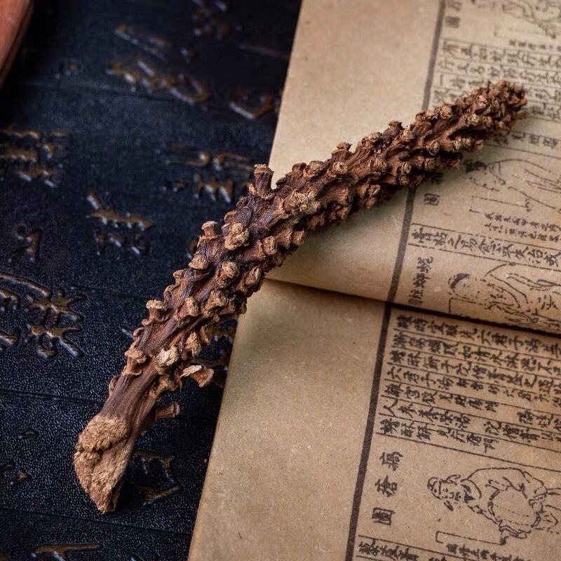 虎鞭草子孙草虎鞭草云南苗家中草药滋补野生中药材泡酒料