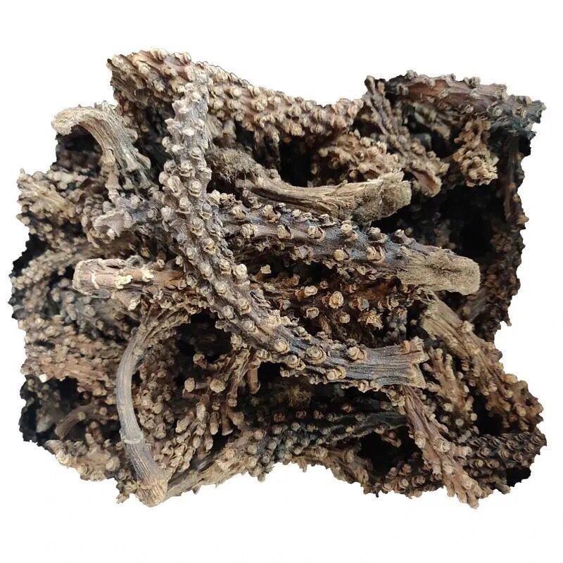 虎鞭草子孙草虎鞭草云南苗家中草药滋补野生中药材泡酒料