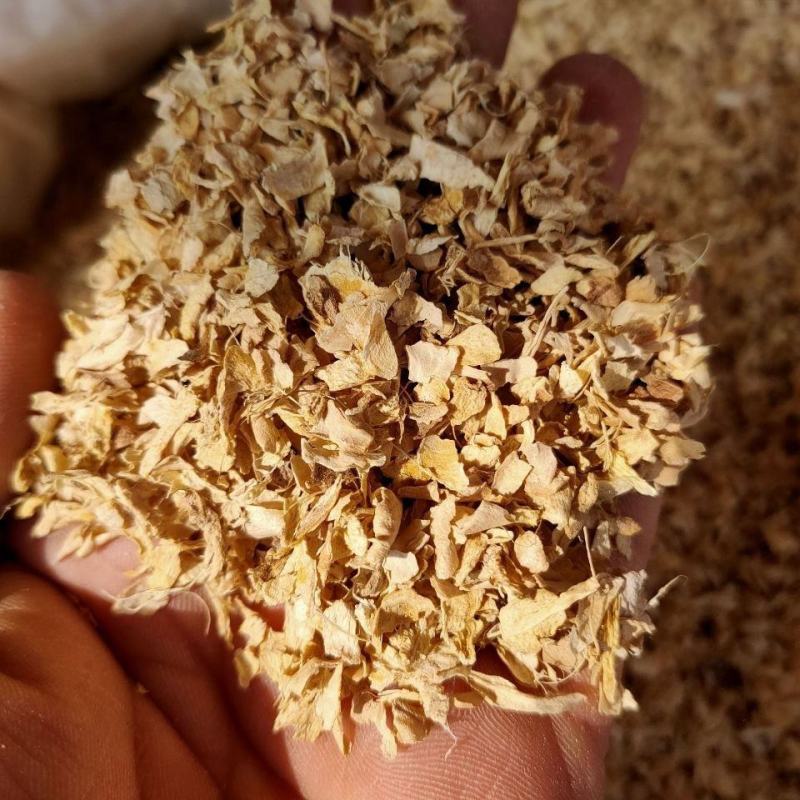 姜皮中药材生姜皮干姜皮晒干姜皮老姜衣