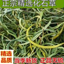 云南化石草中药材野生化石草肾精草精选野生肾精茶化石茶滋补