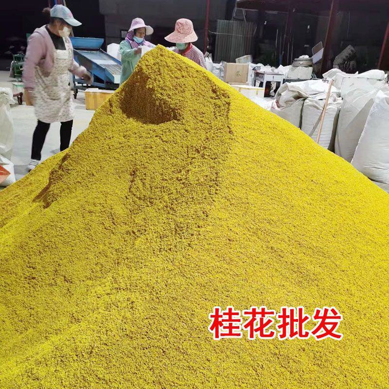 5A新花浓香桂花干食用特级桂林干桂花茶泡酒酿泡茶商用