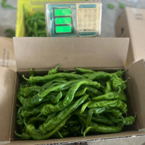 螺丝椒