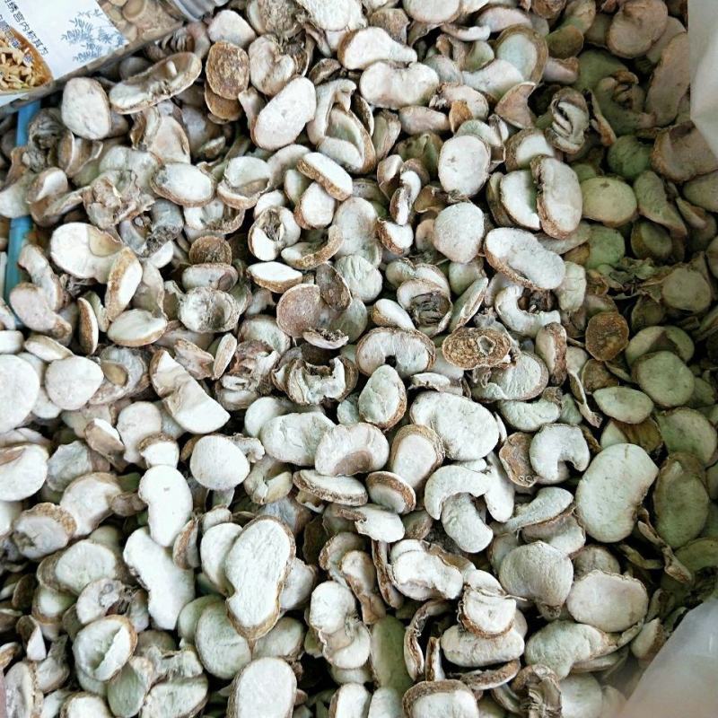 中药材大贝母浙贝圆片贝母浙贝母包邮可以打粉
