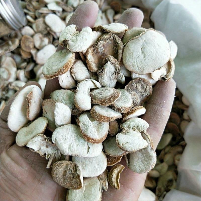 中药材大贝母浙贝圆片贝母浙贝母包邮可以打粉