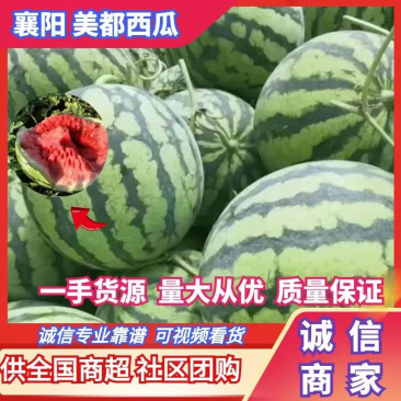 宜城精品麒麟美都，高糖度，小薄皮，产地大量上市，全国发货