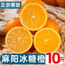 [现货麻阳冰糖橙]橙子10斤新鲜现摘超橙当季水果整箱手
