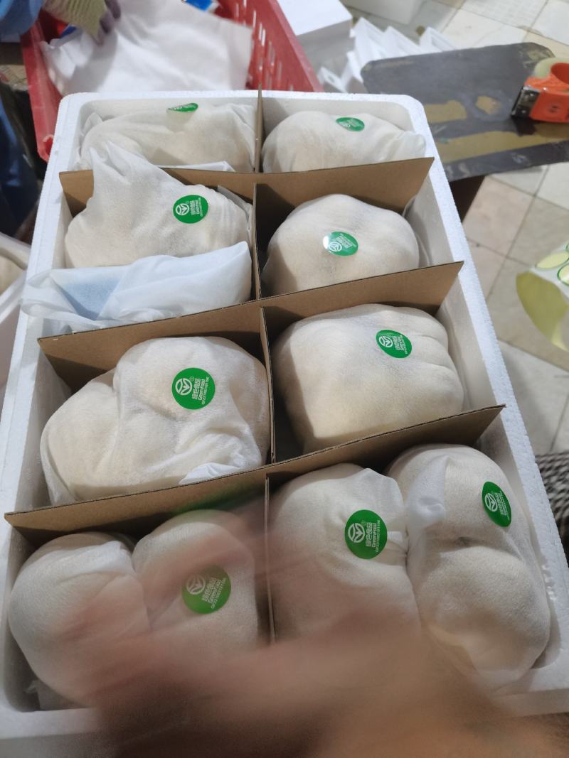 鲜猴头菇蘑菇东北食用菌有机绿色双认证基地直供