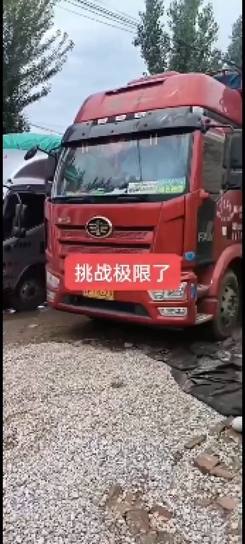 河北省故城县，建国镇千亩冬瓜种植基地，大量有货种