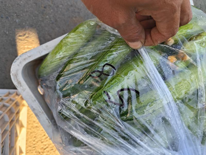 当地旱黄瓜口感特别好，瓜条顺溜。