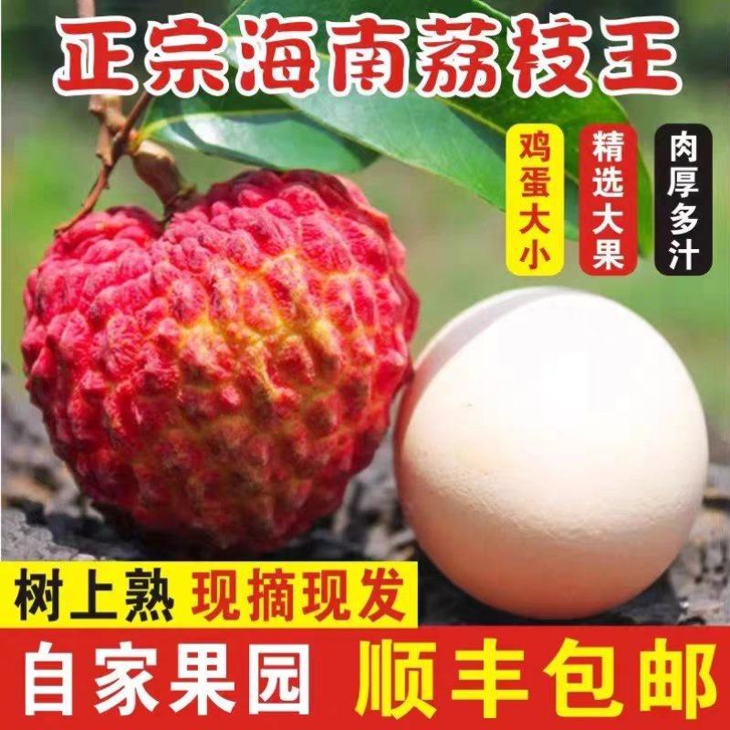 海南火山口荔枝王/荔枝王/火山荔枝王/顺丰空运/一件包邮