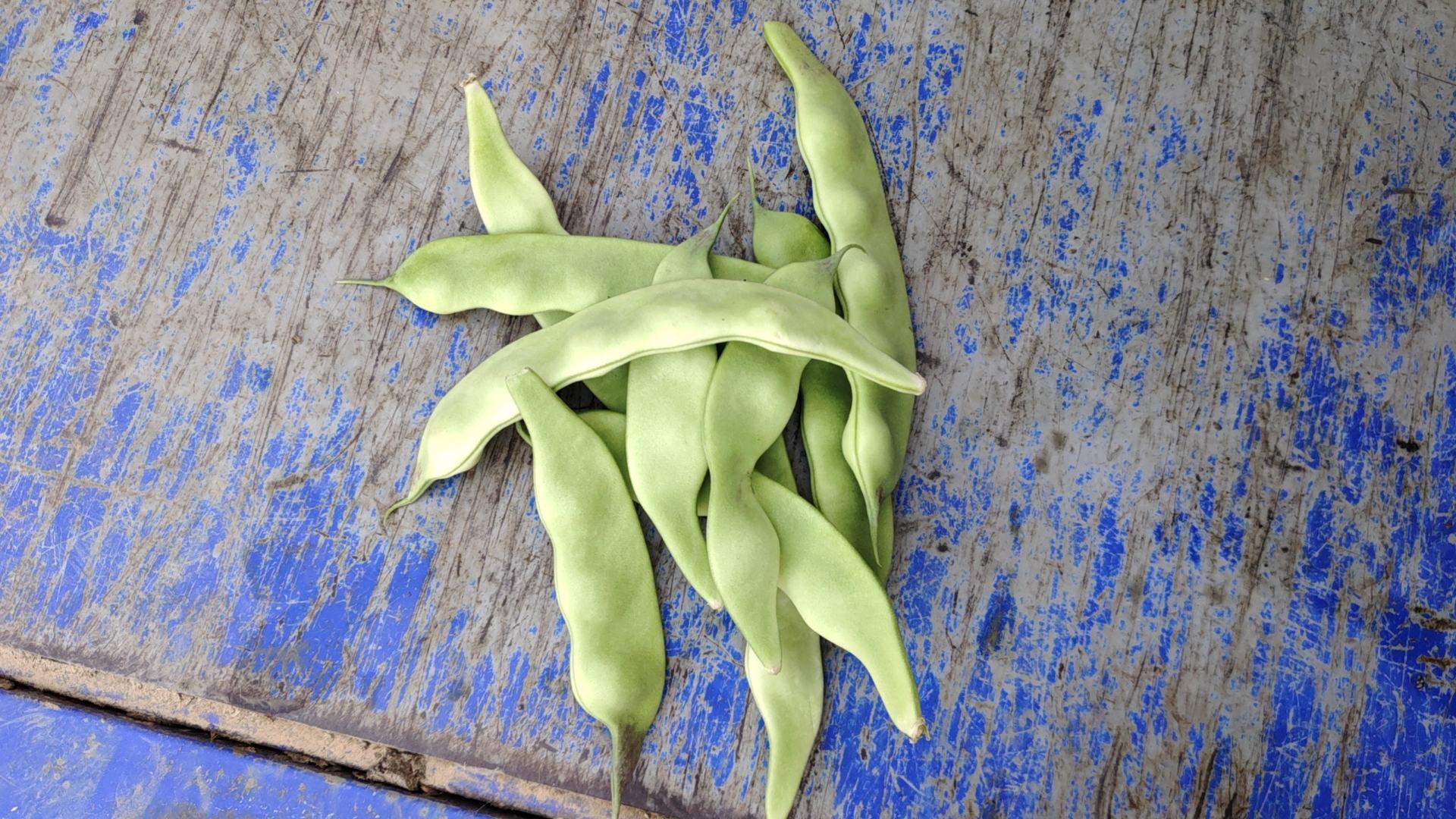 青椒与鸡蛋原材料展示