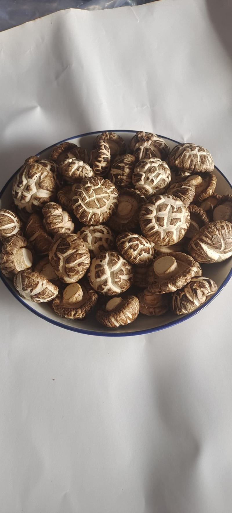 小花菇珍珠白花菇卢氏花菇中的天花板肉厚形圆口感Q弹包邮。