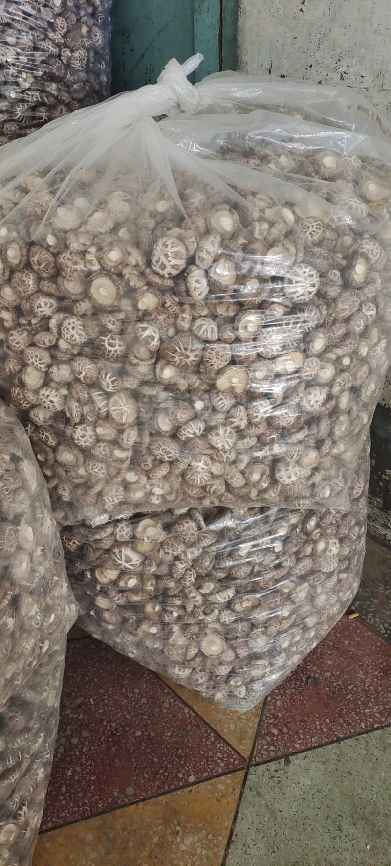 小花菇珍珠白花菇卢氏花菇中的天花板肉厚形圆口感Q弹包邮。