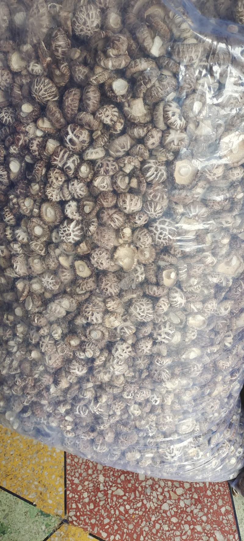 小花菇珍珠白花菇卢氏花菇中的天花板肉厚形圆口感Q弹包邮。