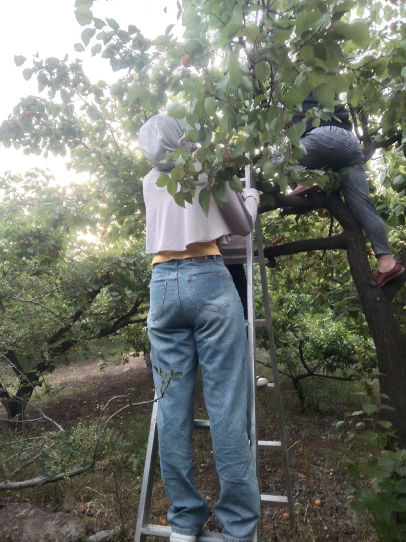 金太阳现有大批货源望需要的老板速联系