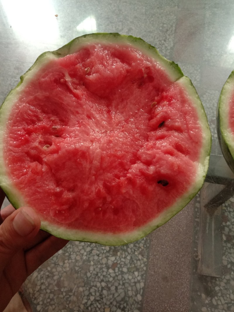 美都西瓜，一手货源诚信合作欢迎客户来电咨询