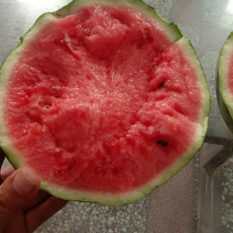 美都西瓜，一手货源诚信合作欢迎客户来电咨询