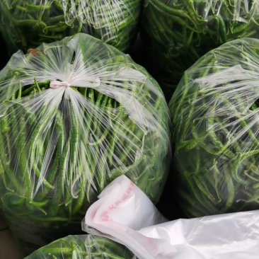 二荆条，辣椒，鲜辣椒，小海椒，线椒