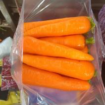 精品三红胡萝卜，产地直发，大量供应，量大