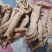 防风个子片投料关防风鲜货干货
