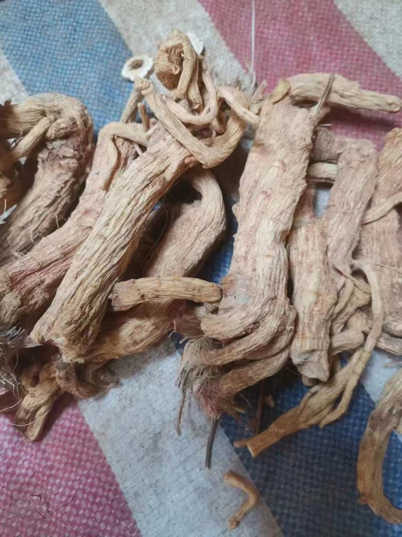 防风个子片投料关防风鲜货干货