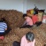 大量野生高质高良姜现货价格从优生的8元每斤，干38元每斤