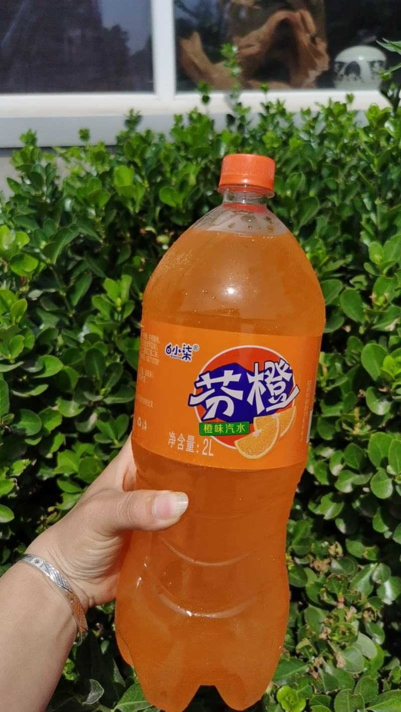 两升可乐雪柠檬芬橙质优价低可比大品牌