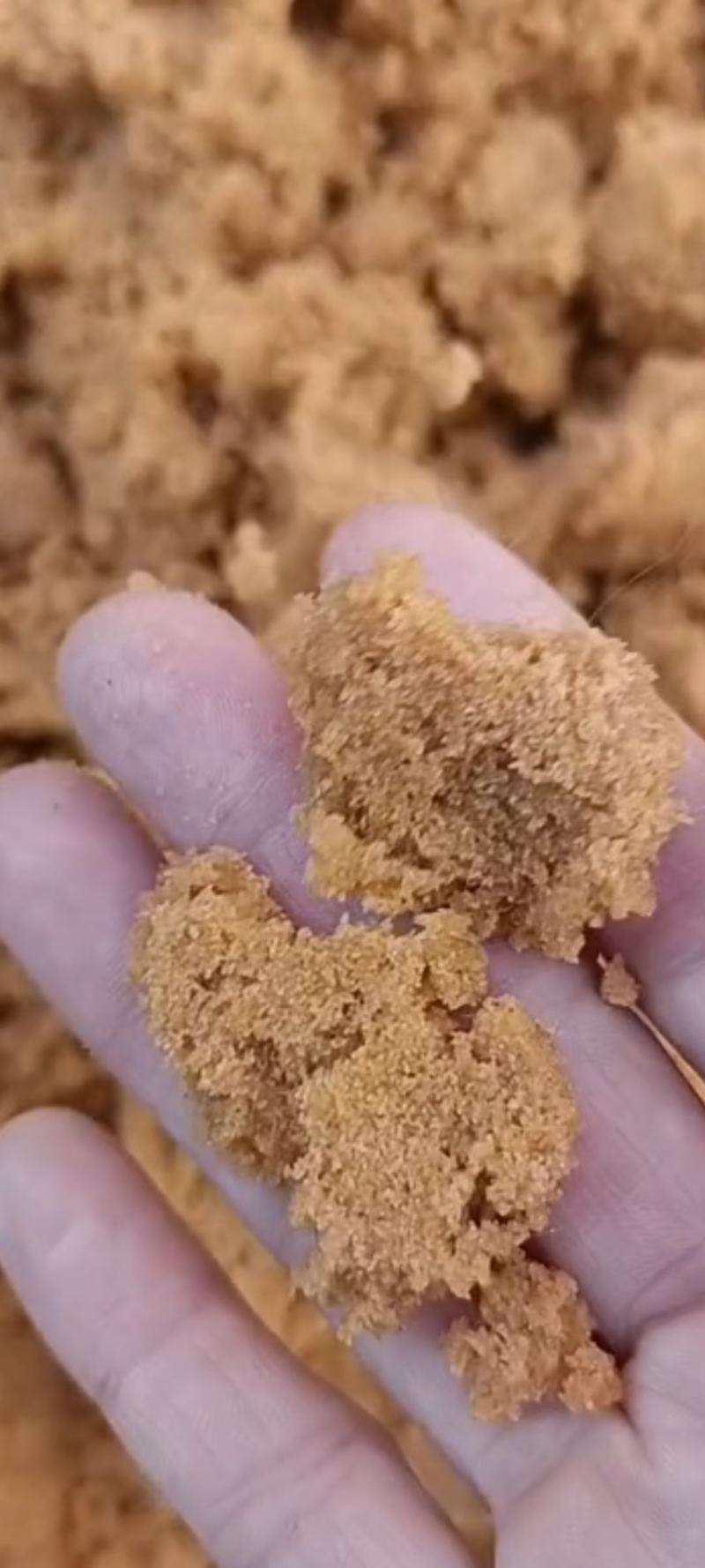 蟹子豆腐新鲜供应，不支持偏远地区，有需联系