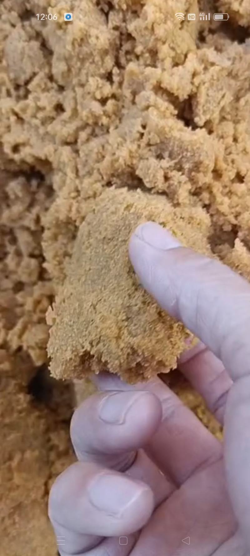 蟹子豆腐新鲜供应，不支持偏远地区，有需联系