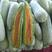 羊角蜜甜瓜山东临沂市费县精品头茬羊角蜜量很大欢迎采购。