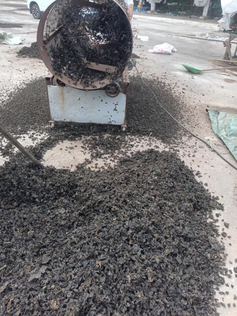 地皮菜河南南阳地皮菜特色菜量大价优批发供应