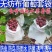 无纺布葡萄套袋桃子梨子芒果樱桃苹果柑橘等水果套袋批发