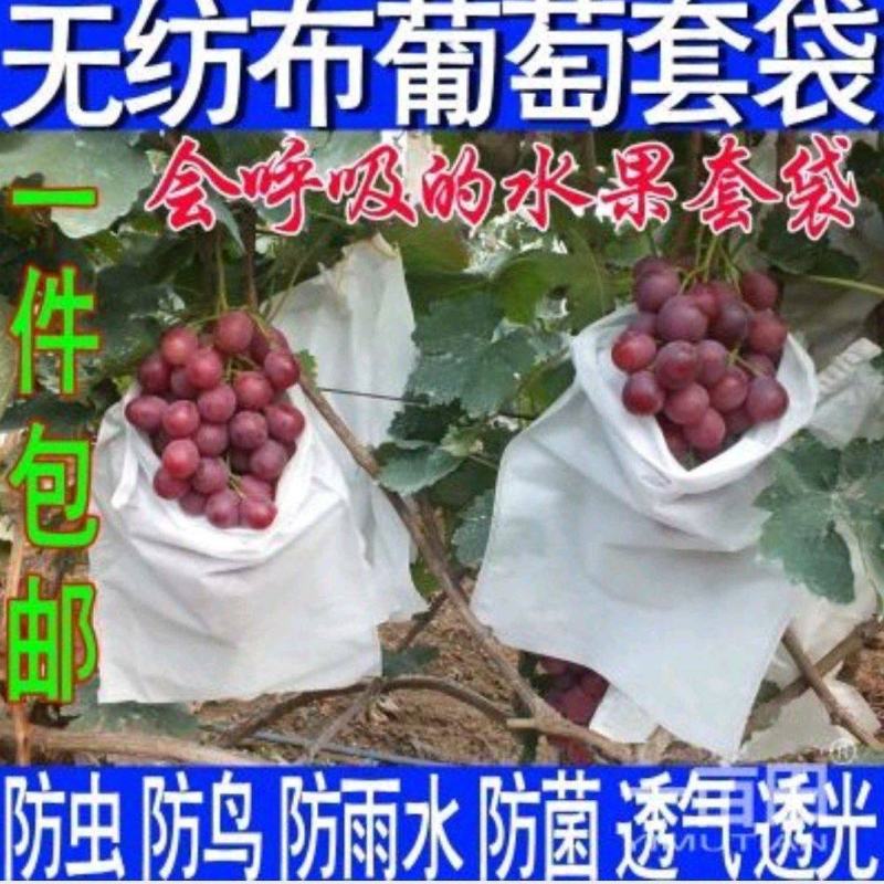 无纺布葡萄套袋桃子梨子芒果樱桃苹果柑橘等水果套袋批发