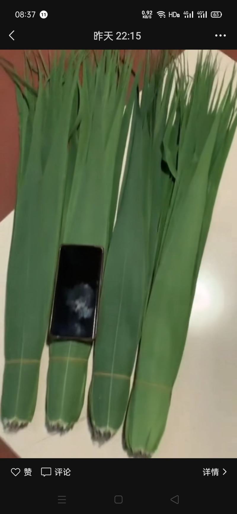 安徽芦苇叶粽叶新品，规格齐全，产地直供一手货源，