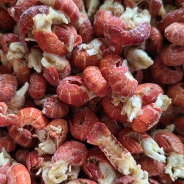 无冰衣龙虾尾鲜冻小龙虾冷冻新鲜整箱餐饮商用批发