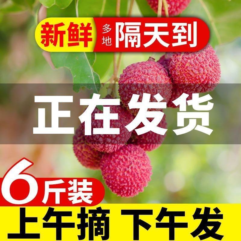 现货现发新鲜白糖罂荔枝当季孕妇水果非妃子笑多省包邮免运费