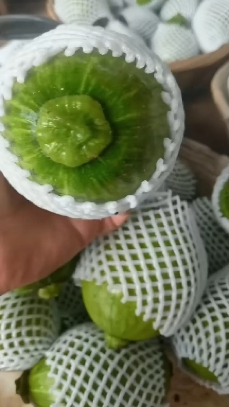 南瓜精品小嫩南瓜产地视频看货装货质量很好货源充足欢迎大订