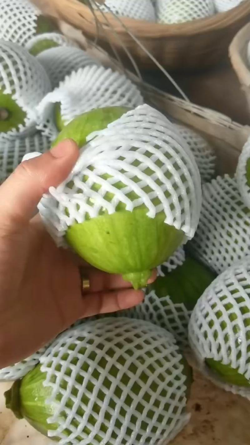 南瓜精品小嫩南瓜产地视频看货装货质量很好货源充足欢迎大订