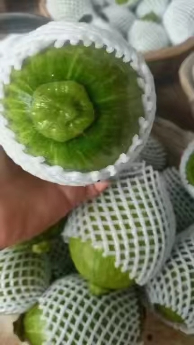 南瓜小嫩南瓜货源充足支持视频看货打款发货欢迎订购