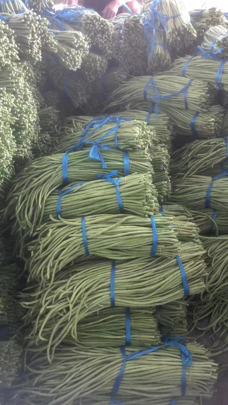 青条豆角长豆角支持视频看货打款发货欢迎订购