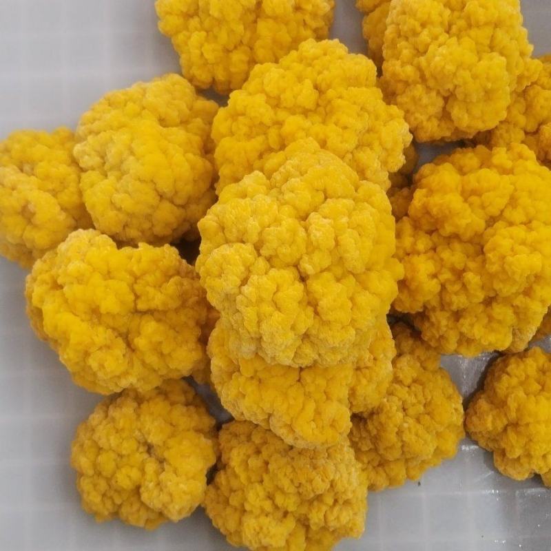 金耳菌