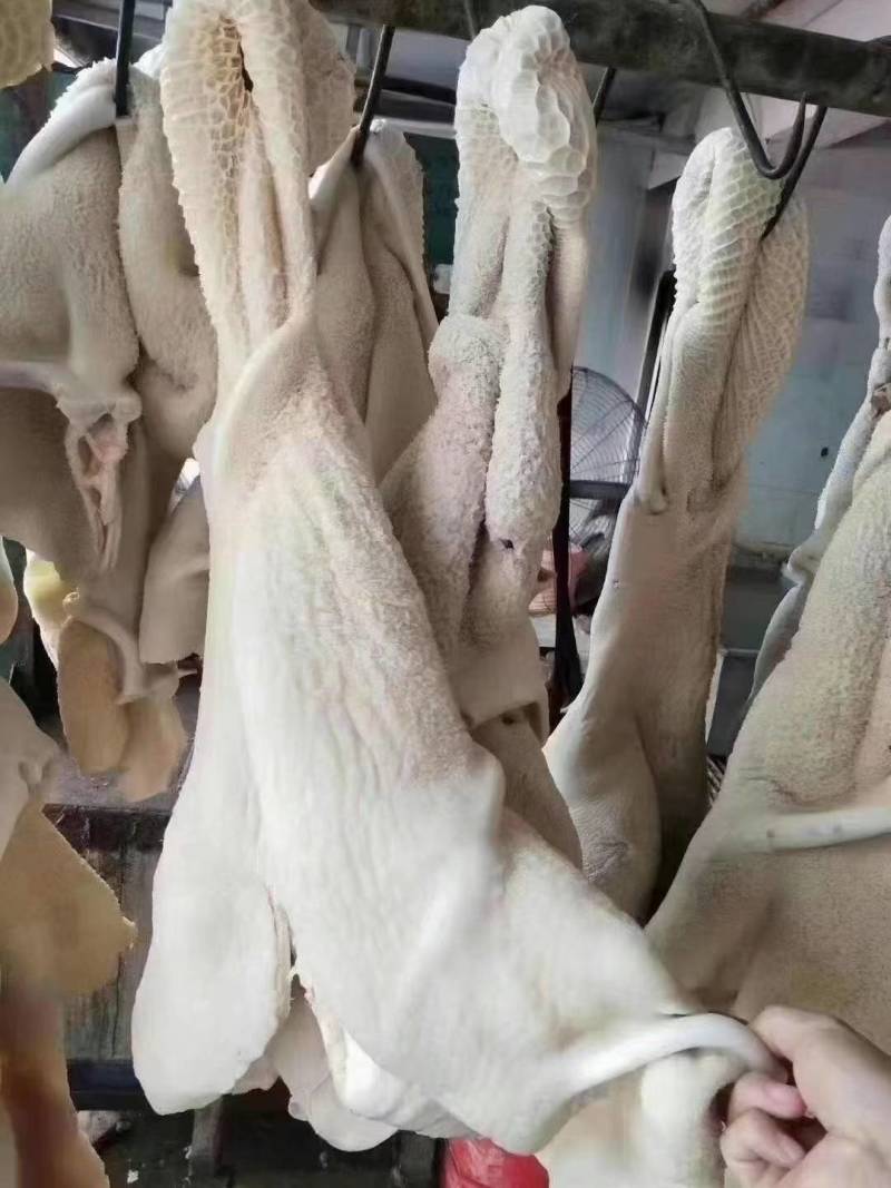 牛腩牛肚牛舌牛肠价格优美