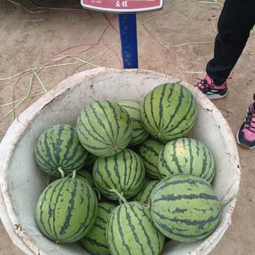 精品美都