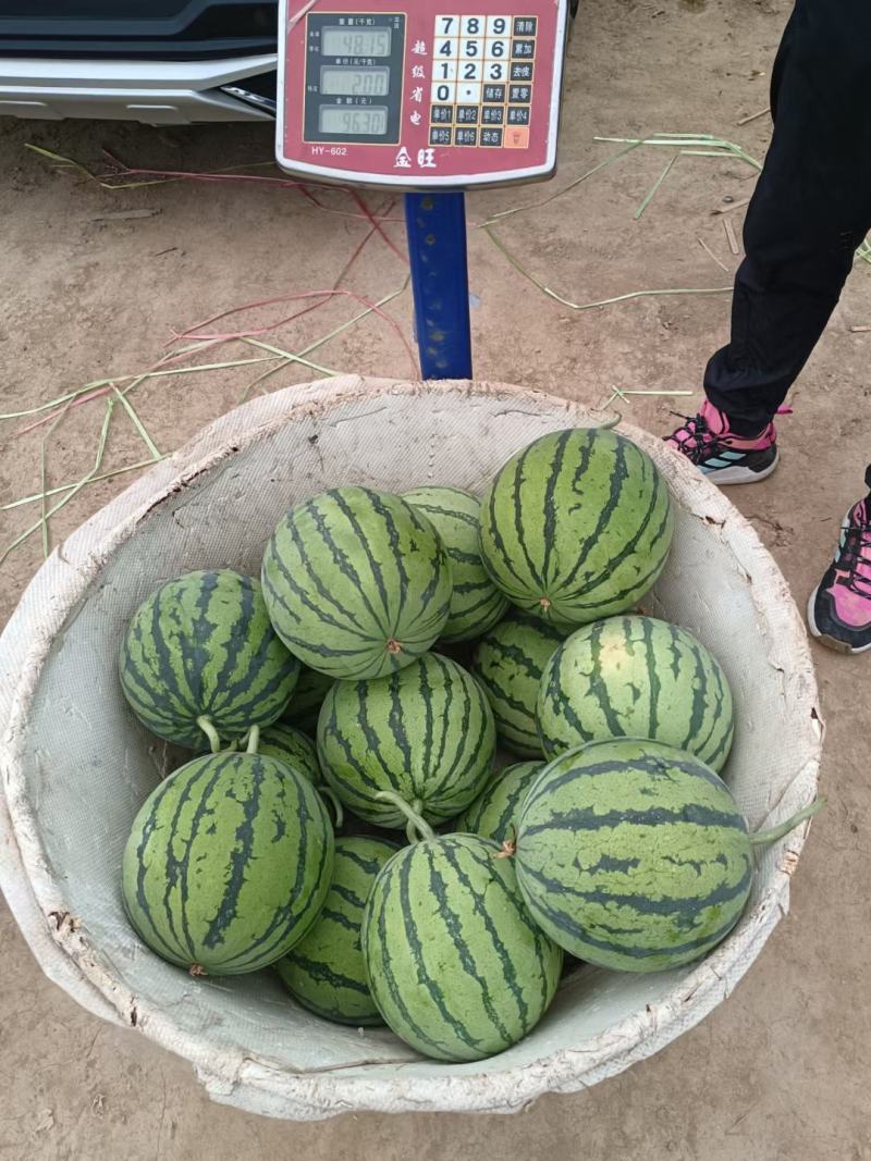精品美都