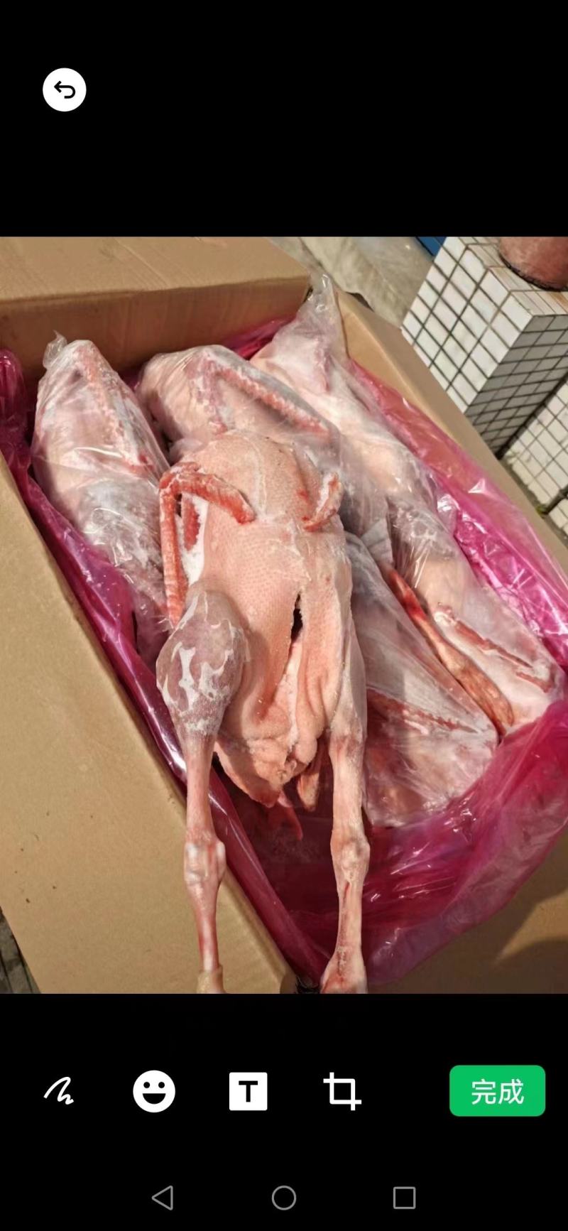 优质白条鹅，纯干货