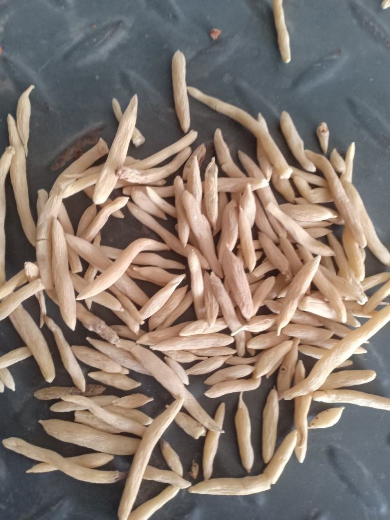 麦冬，山麦冬，山东，新货产地直发实拍现货24小时内发货